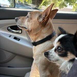 Meet your Posher, Kathy